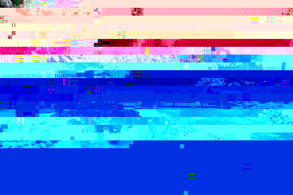 zima_2.JPG